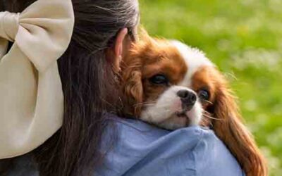 Cómo Identificar el Apego Ansioso en tu Perro