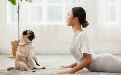  Yoga para Perros